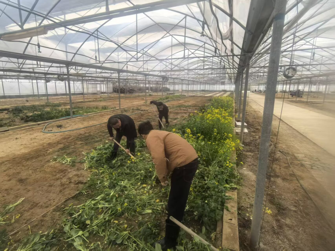 倉儲(chǔ)中心除草_副本