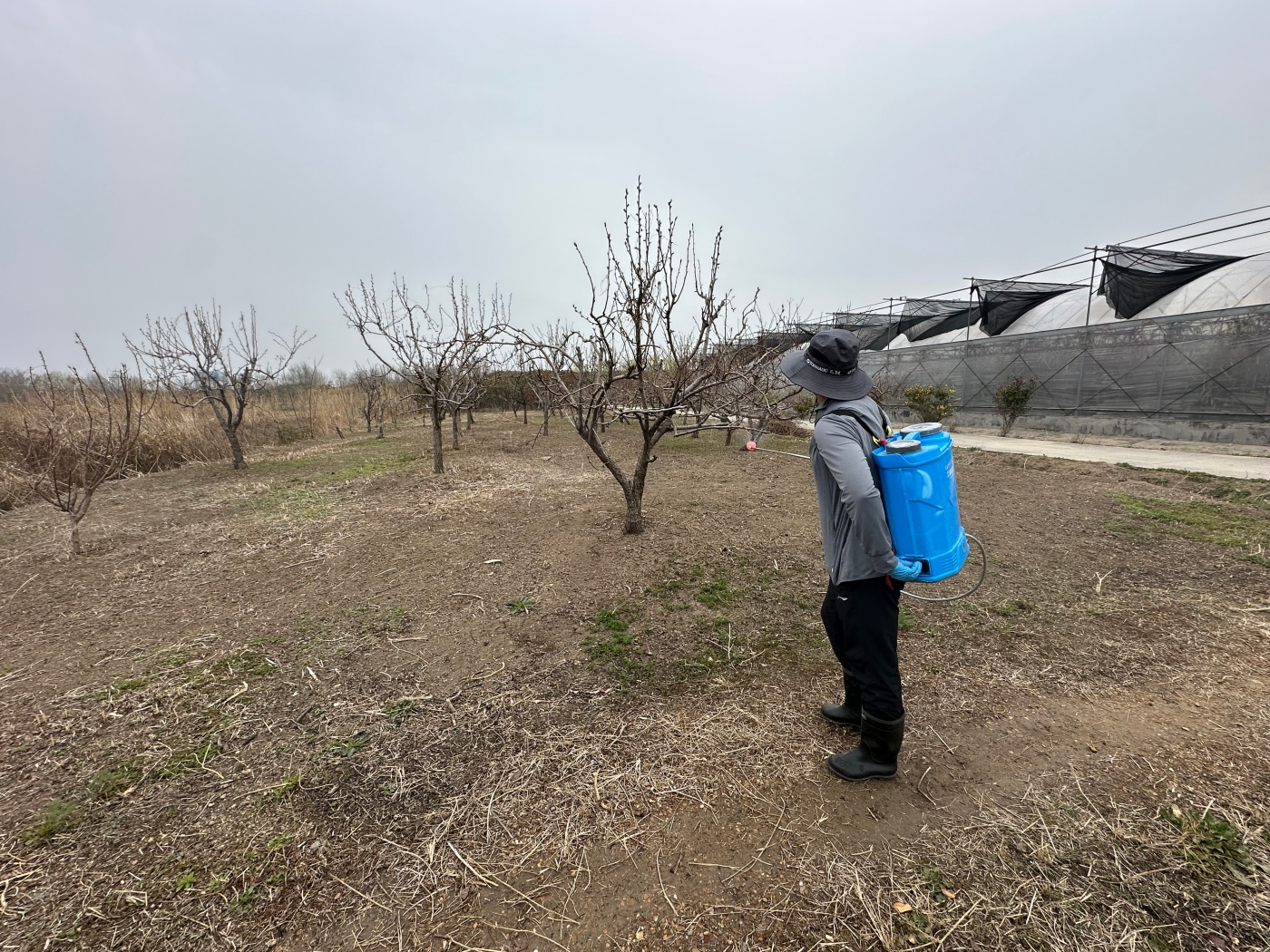 倉(cāng)儲(chǔ)3.30_副本